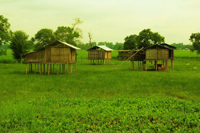 Bamboo houses at majuli river island assam