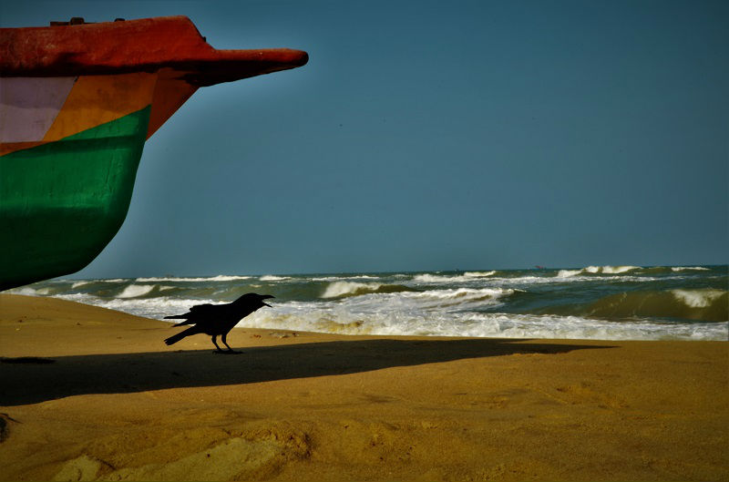 Serenity Beach Puducherry