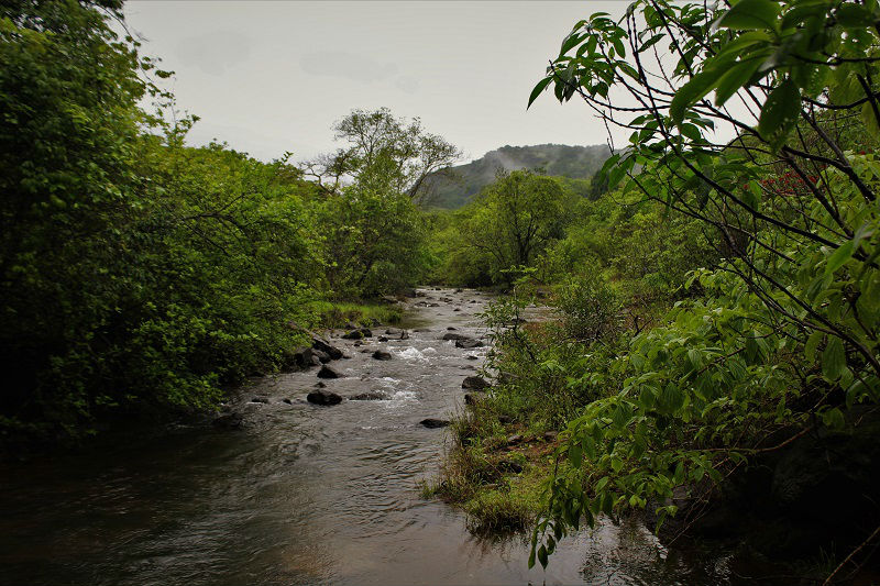 river on route Rajmachi fort