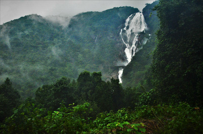 Breathtaking Dudhsagar Waterfall Trek