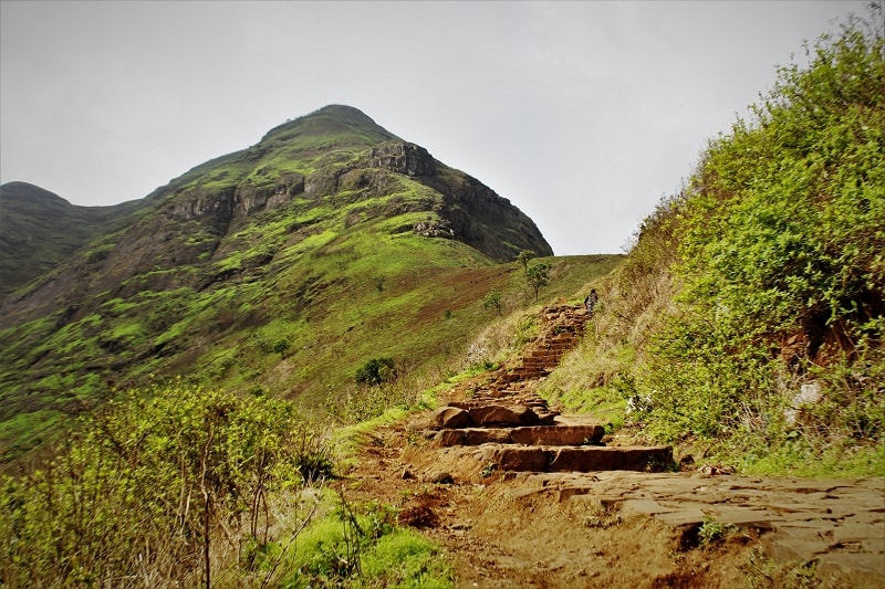 En route to top of Brahmagiri Hill near Nashik city