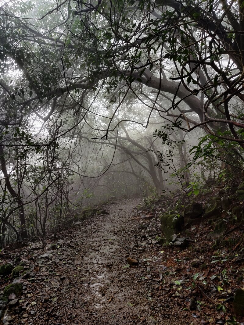 Foggy conditions on Andharban Trek