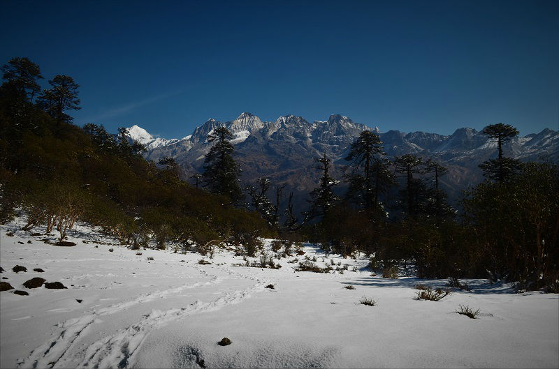 Goechala trek Yuksom Sikkim