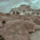 6 Must-Visit Ladakh Monasteries The Spiritual Heartbeat of the Himalayas
