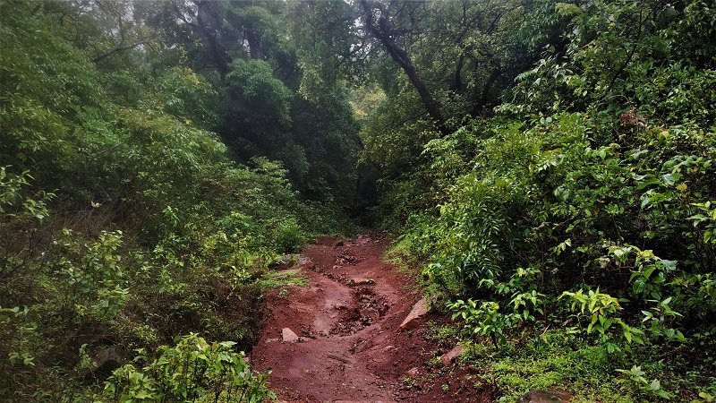 Jungle Route ghangad fort trek