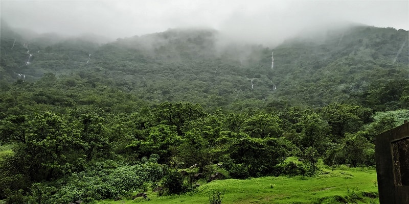 Lush green landscape near Tamhini Ghat