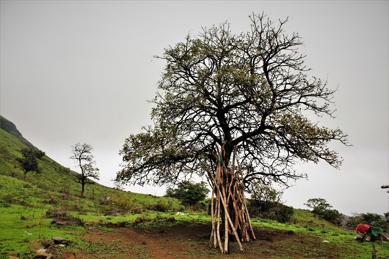 Origin of Godavari Hill Brahmagiri Hill near Nashik city