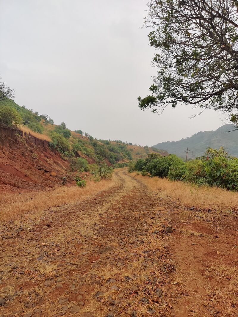 Road that leads to Mohari Village