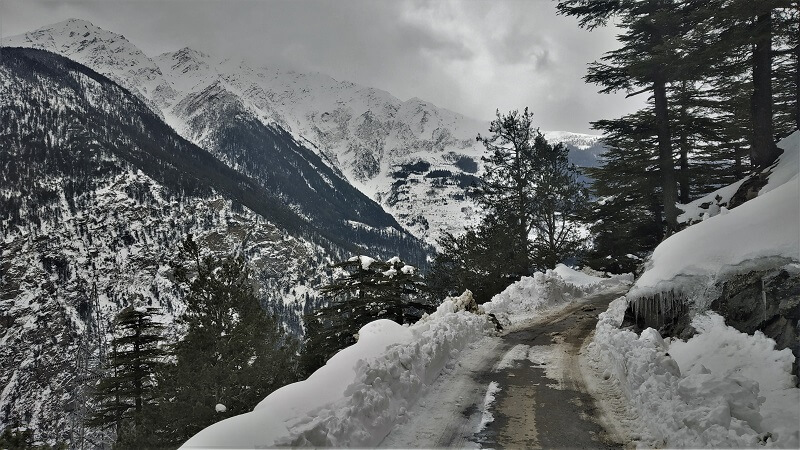 Snow mountains in vicinity at kalpa Himachal