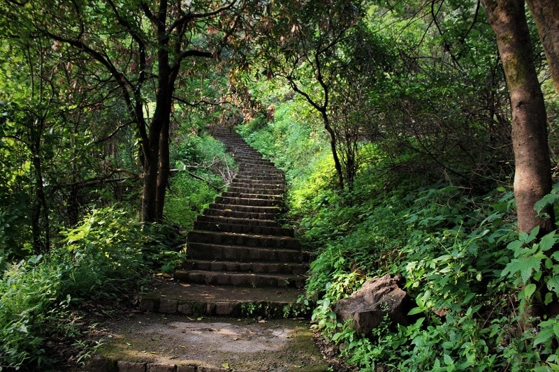 Staircase way Korigad Fort Trek