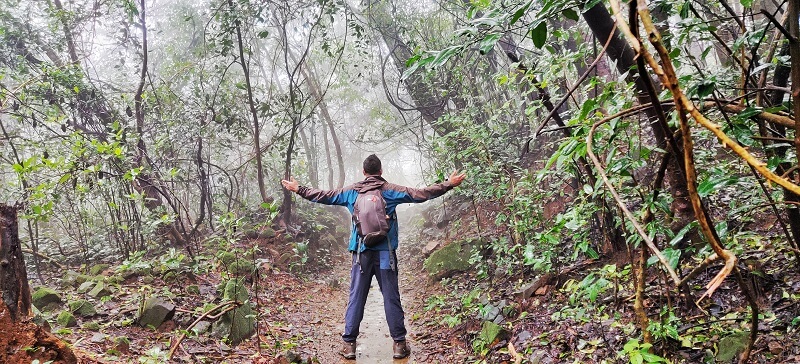 The dense jungle of Andharban