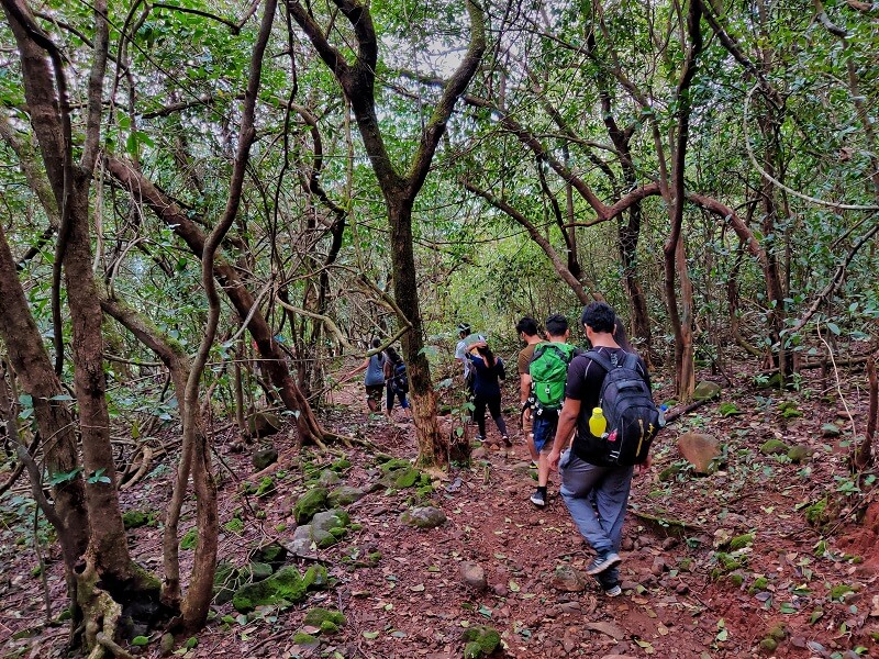 The jungle trek of Andharban