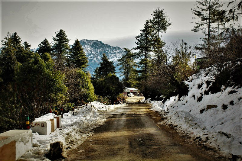 breathtaking road ride at Auli Hill station Uttrakhand