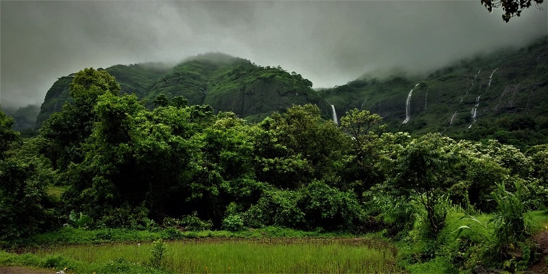 lush green surroundings near Laalwadi Waterfall