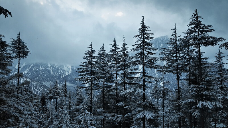 majestic views at kalpa in winters