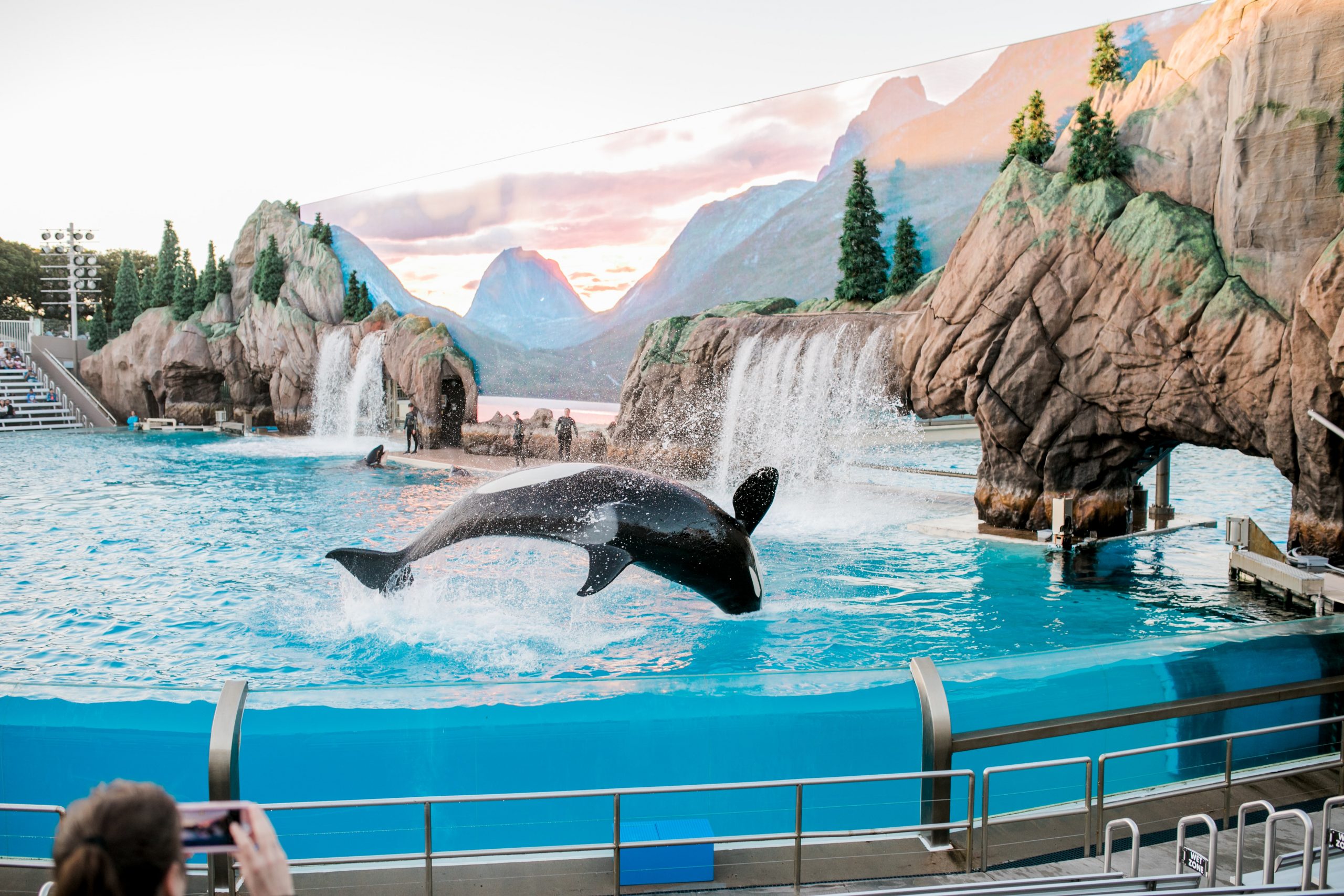 SeaWorld San Diego And Beyond On A Cheap Trip