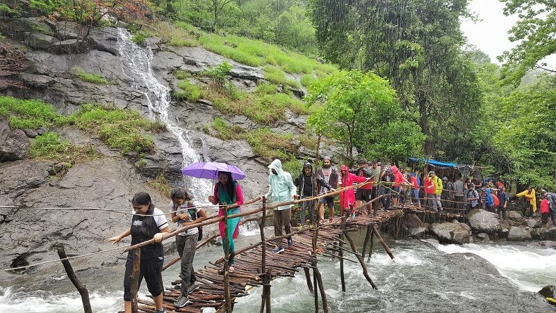 wooden bridge at Devkund Waterfall trek